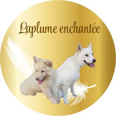 Laplume Enchantée